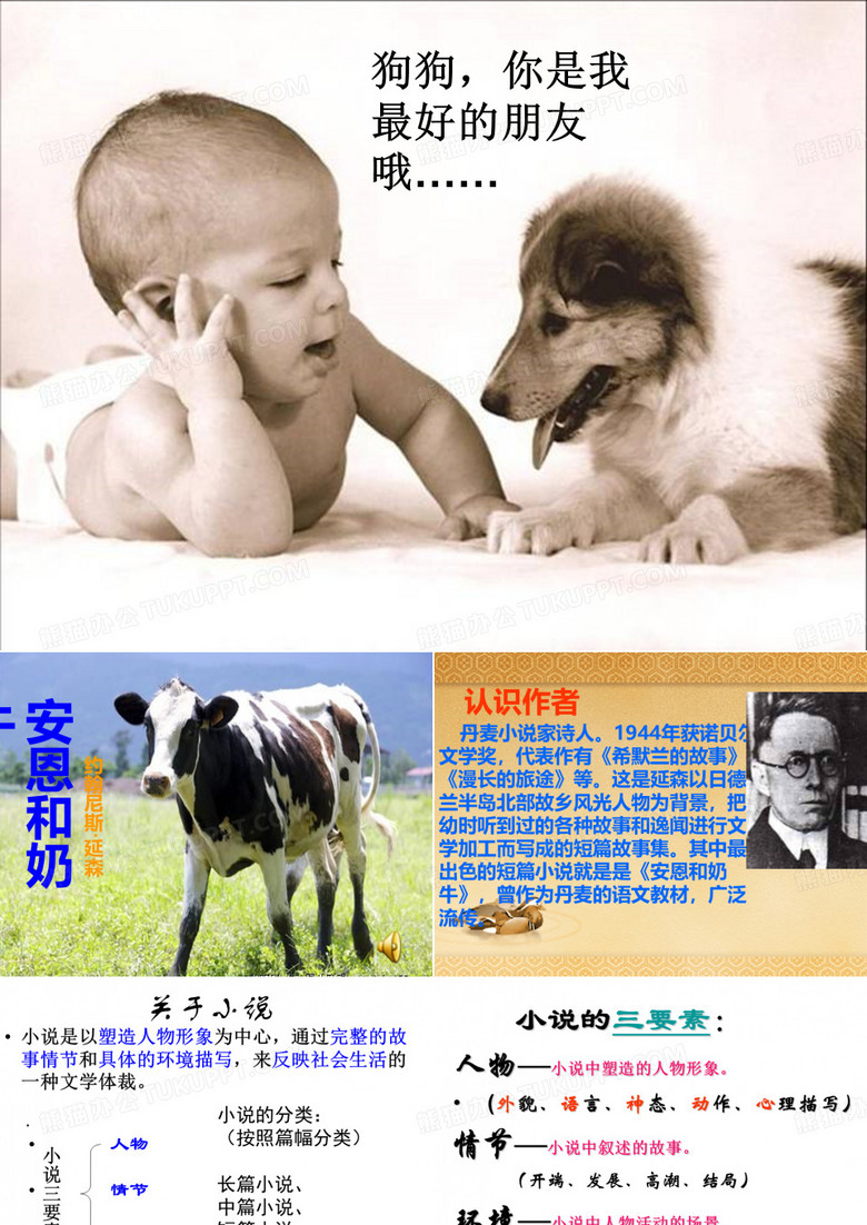 安恩和奶牛