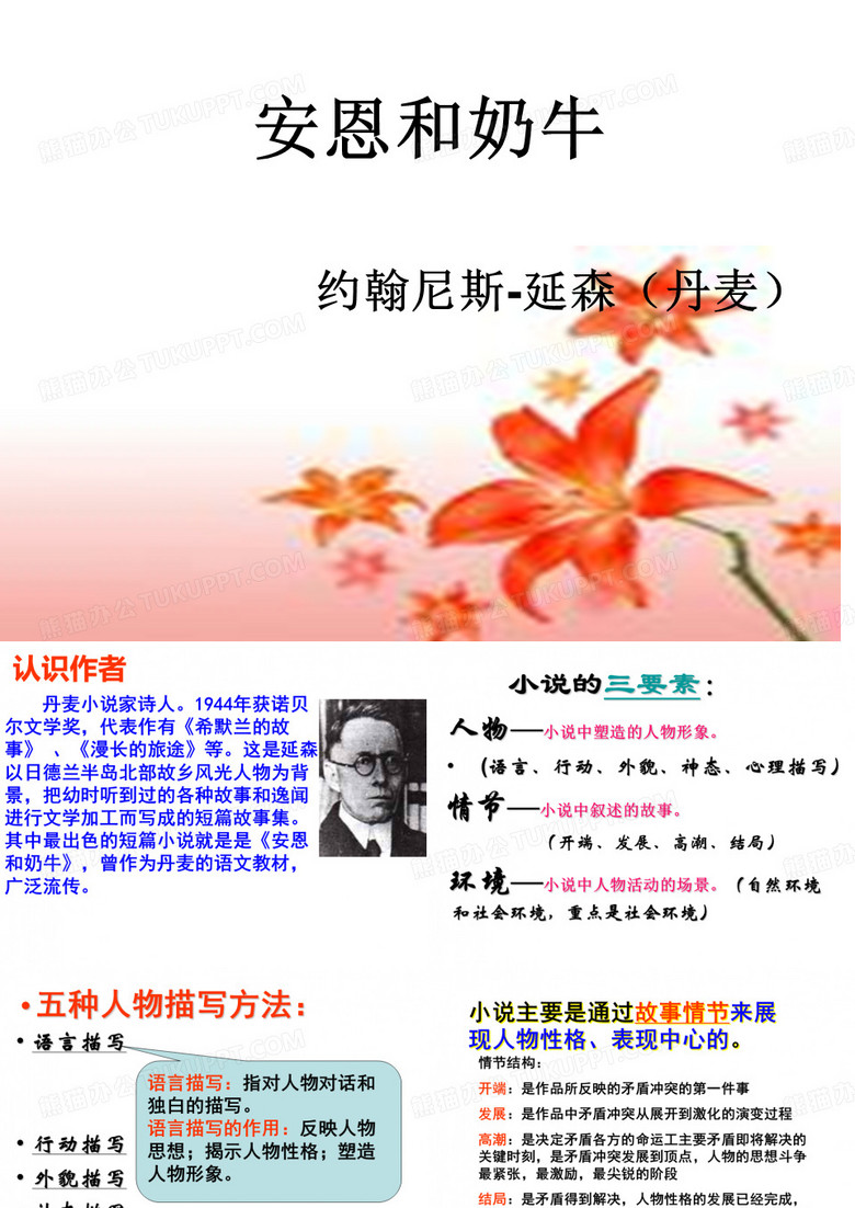 安恩和奶牛