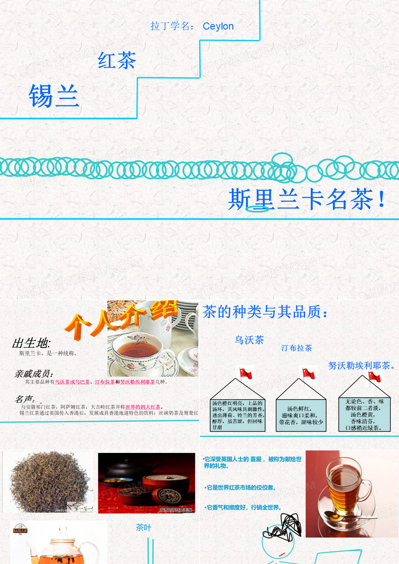 斯里兰卡茶.ppt