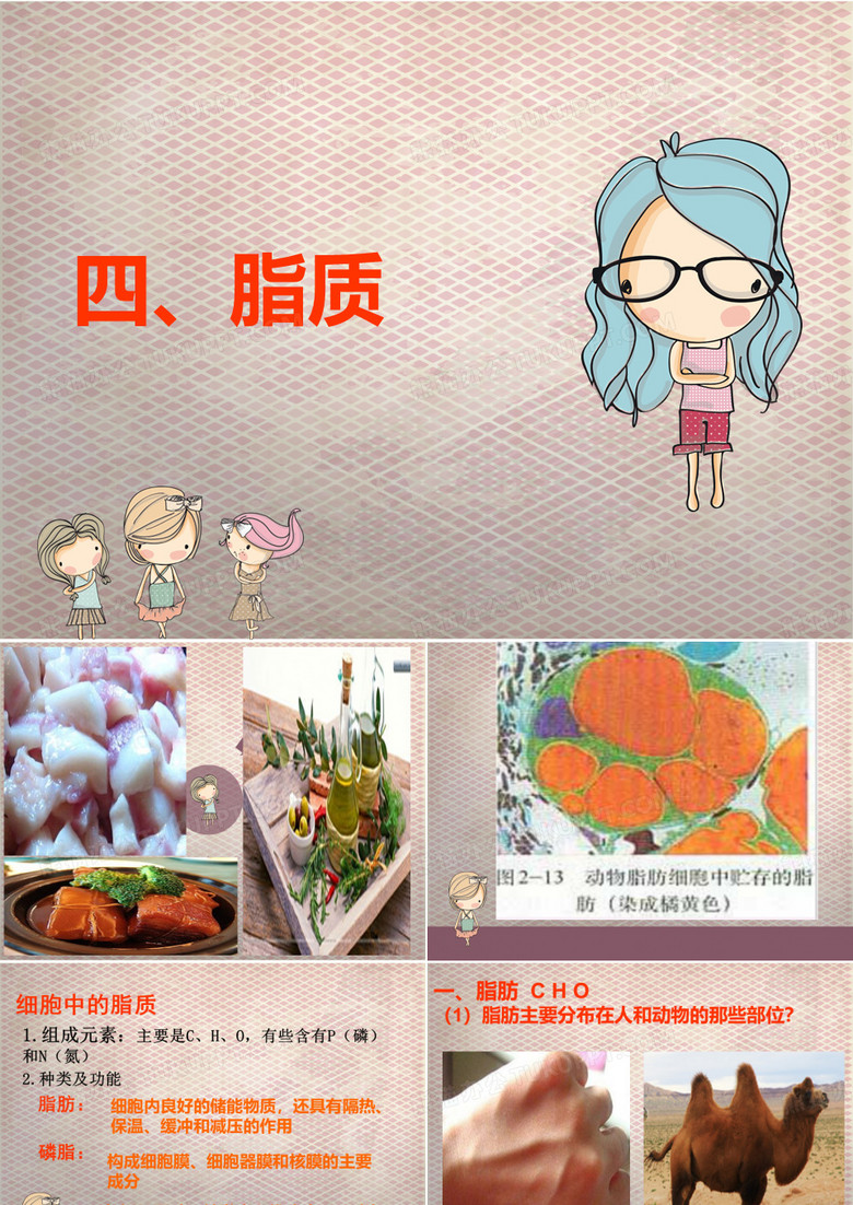 磷脂