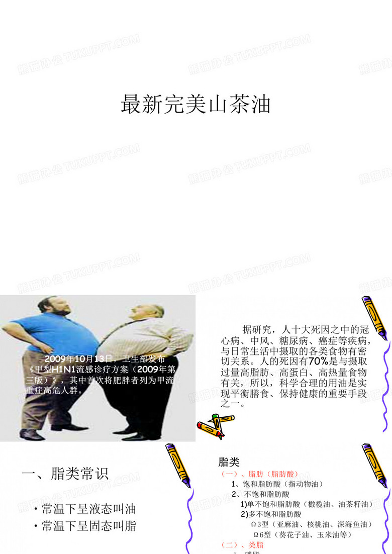 最新完美山茶油教程文件