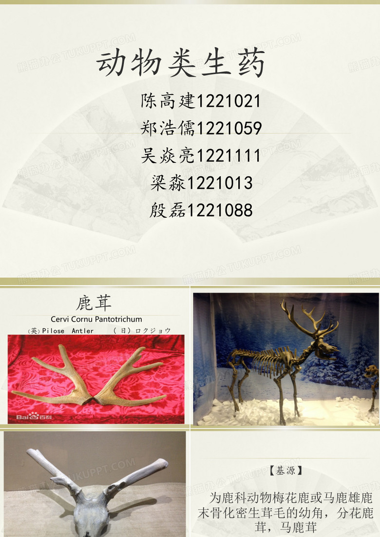 鹿茸