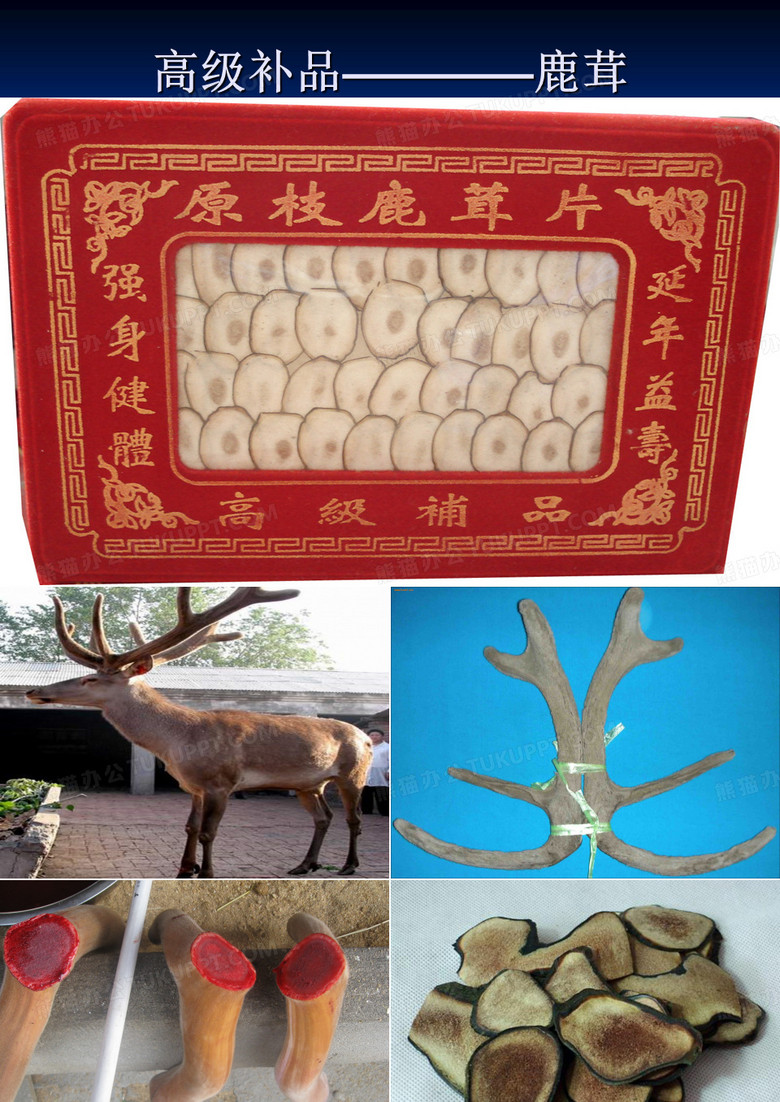 鹿茸的幻灯片