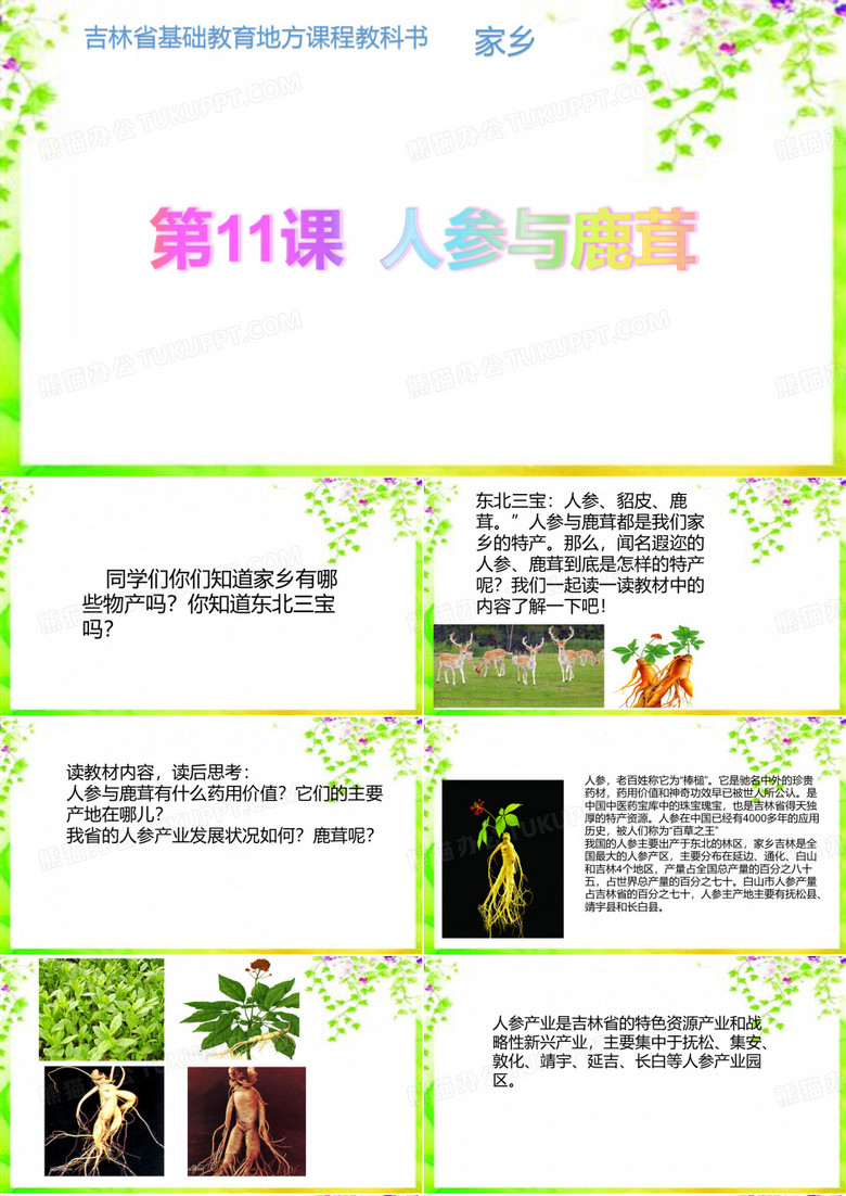 人参与鹿茸