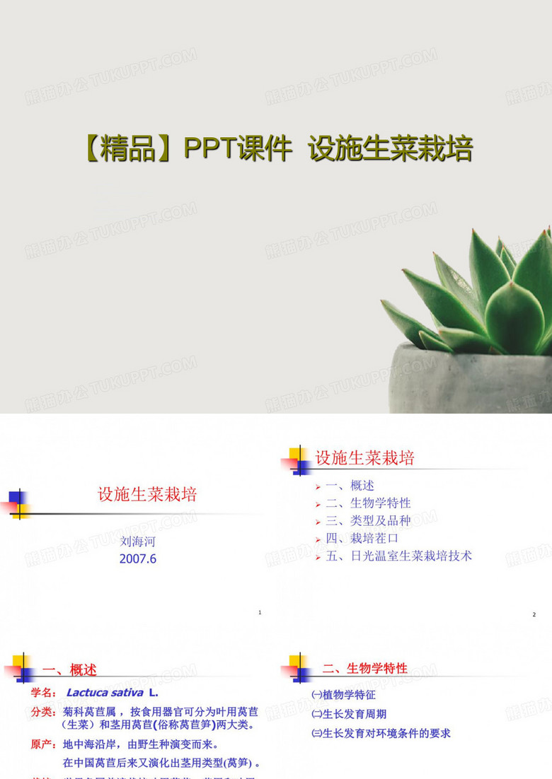 【精品】PPT课件  设施生菜栽培PPT24页