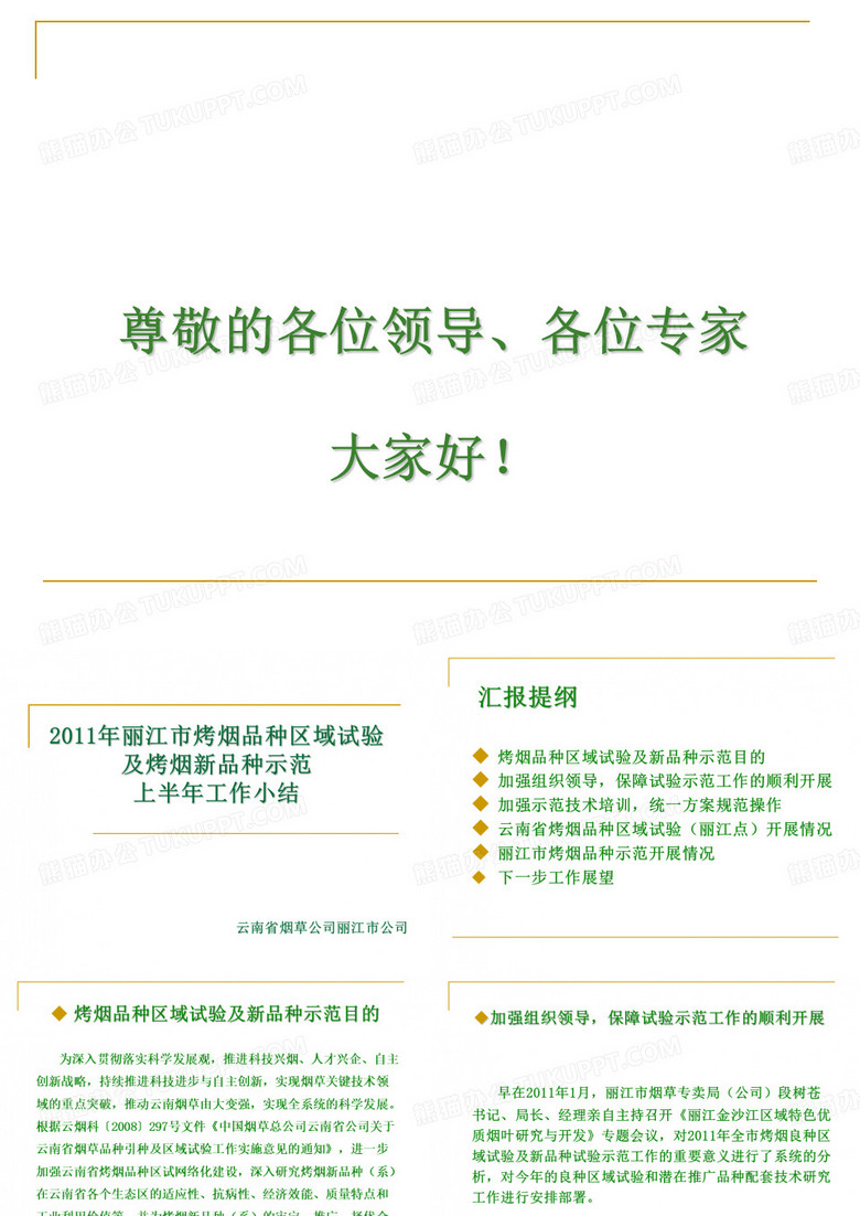 烤烟品种试验