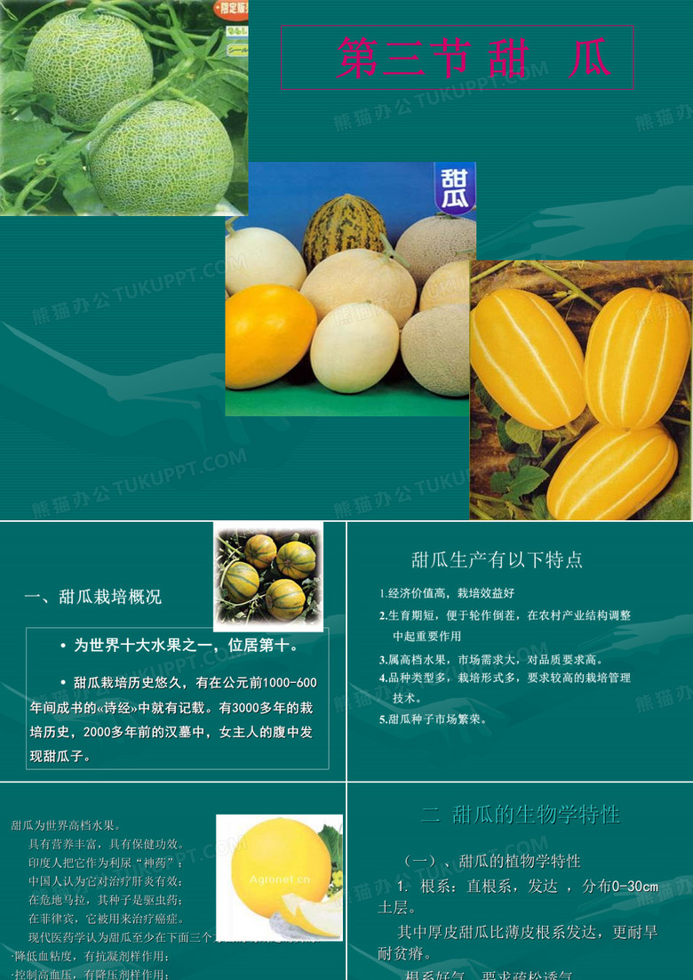 第三节 甜瓜