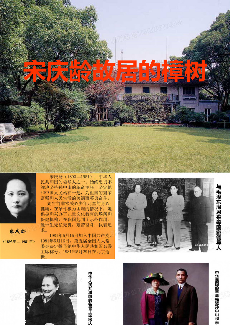 《宋庆龄故居的樟树》