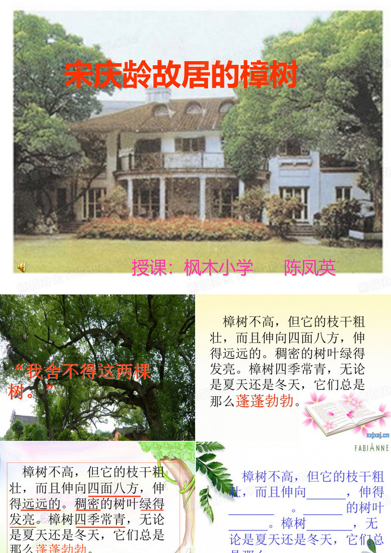 宋庆龄故居的樟树