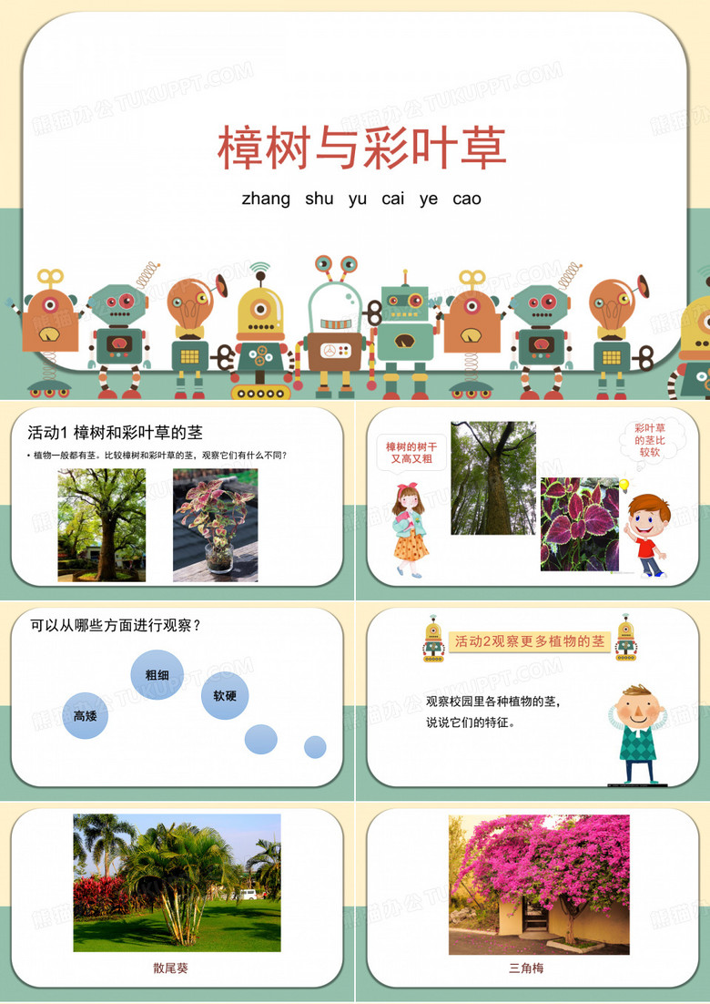 2樟树与彩叶草