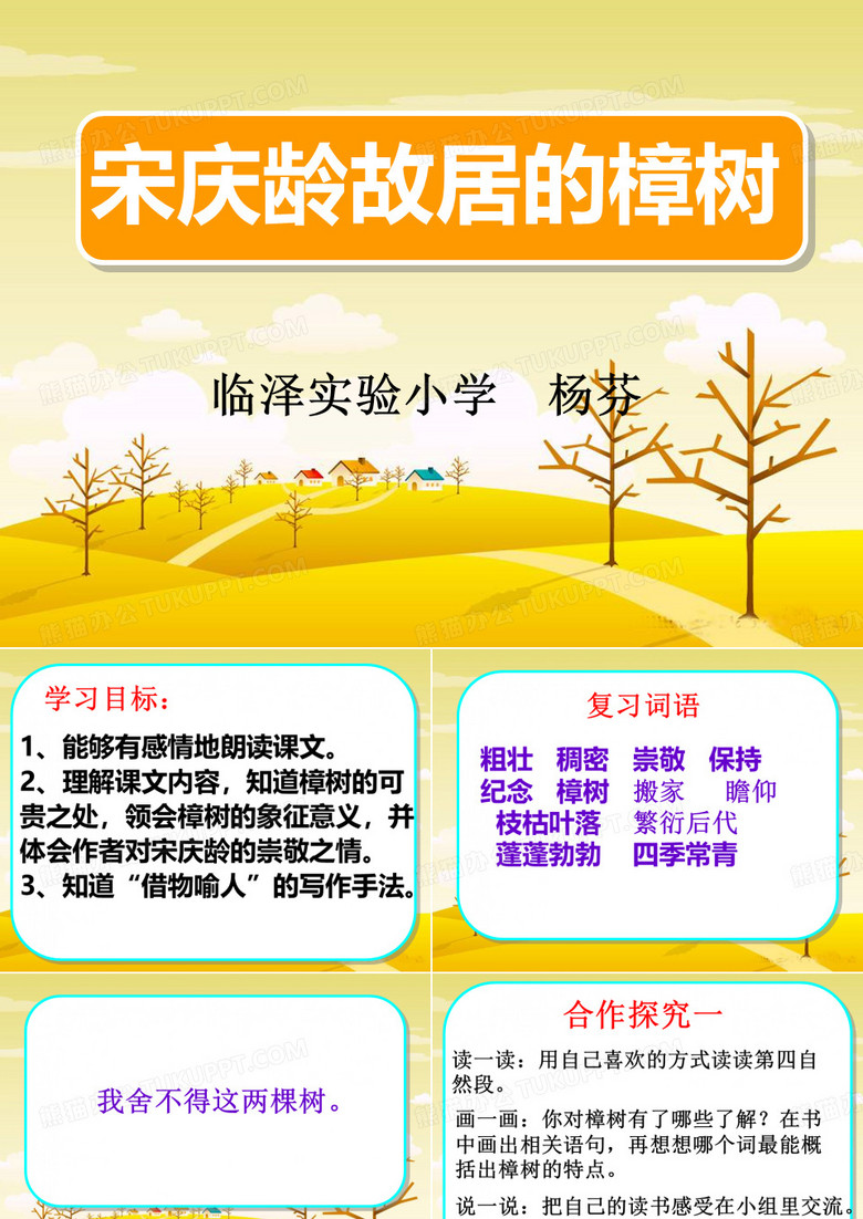 宋庆龄故居的樟树
