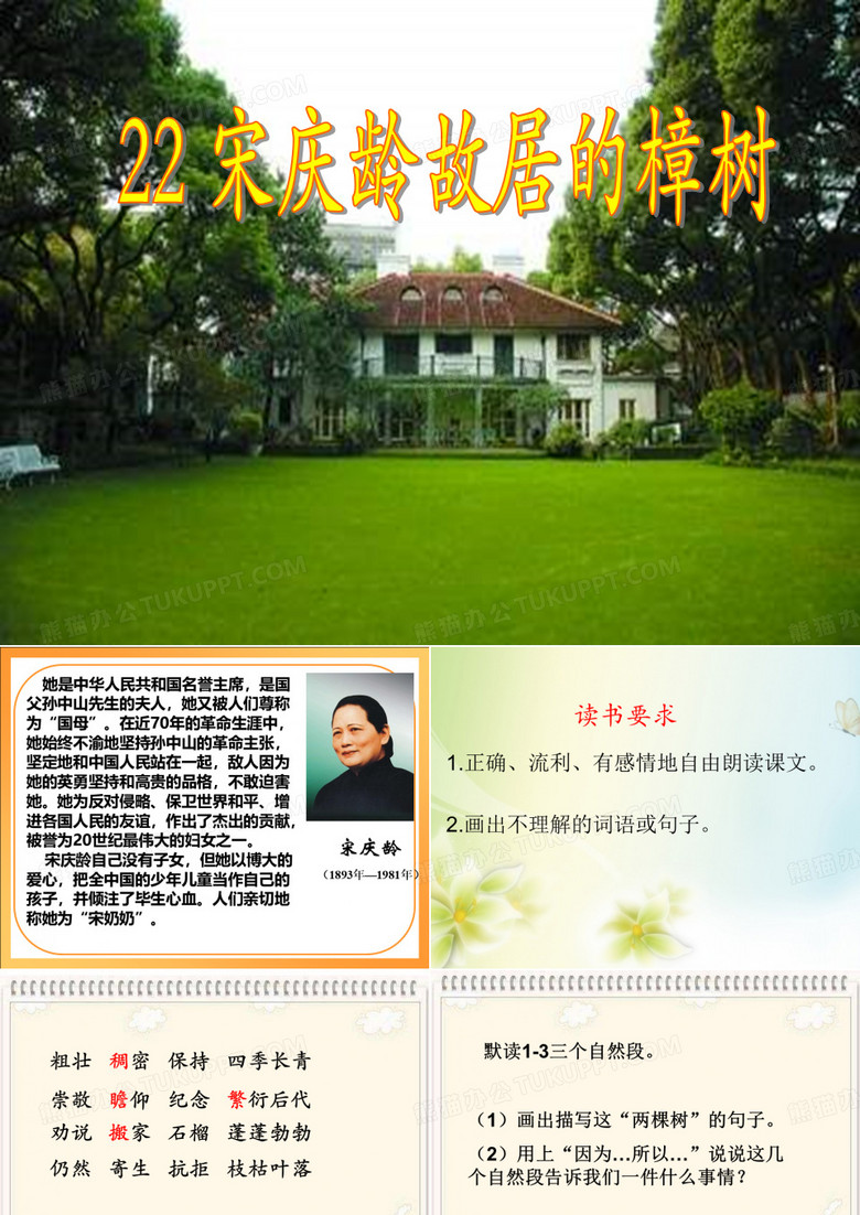 22 宋庆龄故居的樟树