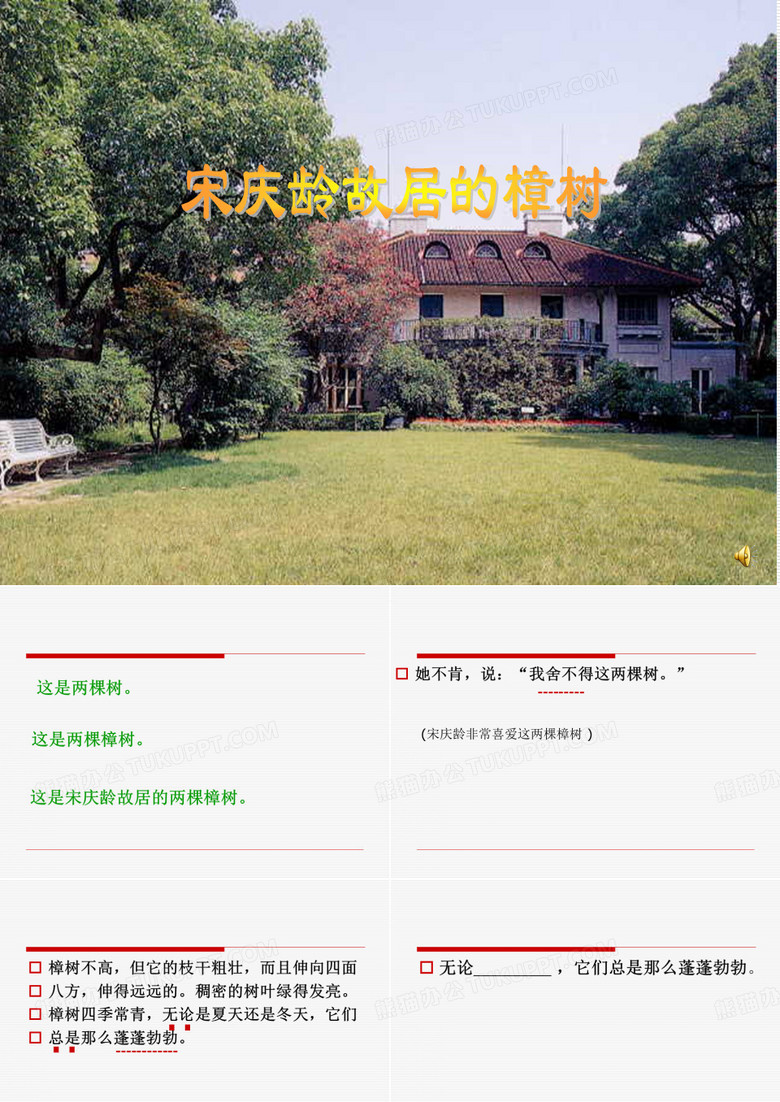 宋庆龄故居的樟树2