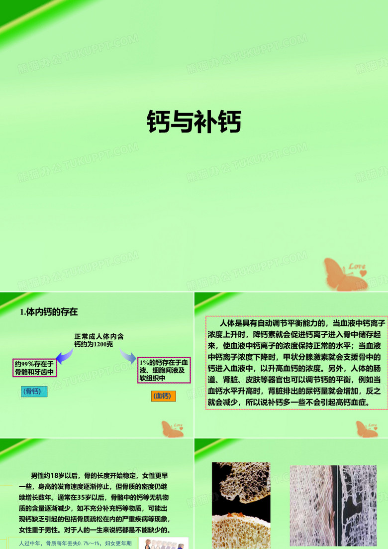 钙与补钙