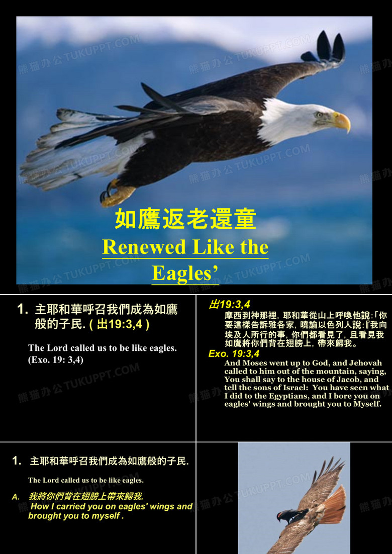 如鹰返老还童