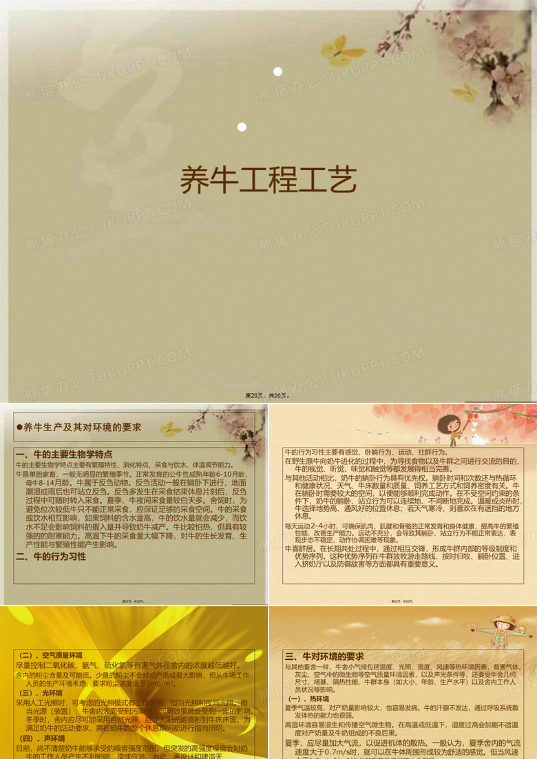 养牛工程工艺