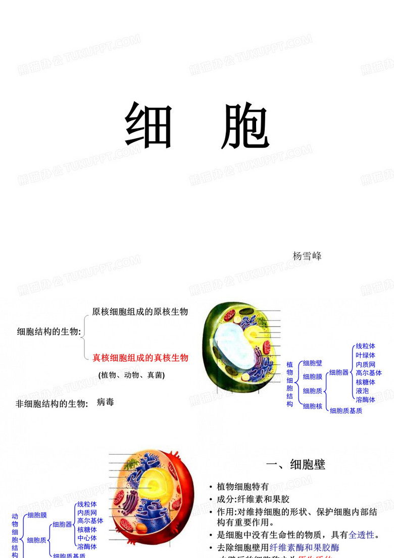 细胞壁和细胞膜