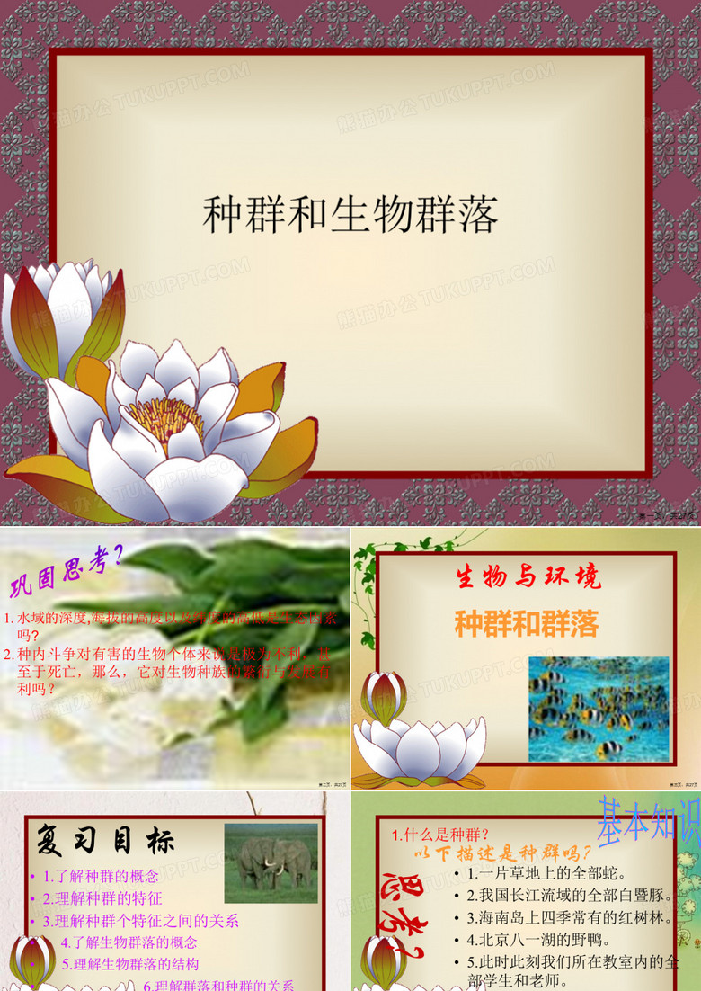 种群和生物群落