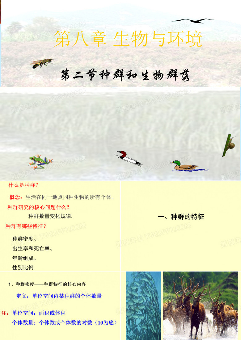 种群和生物群落