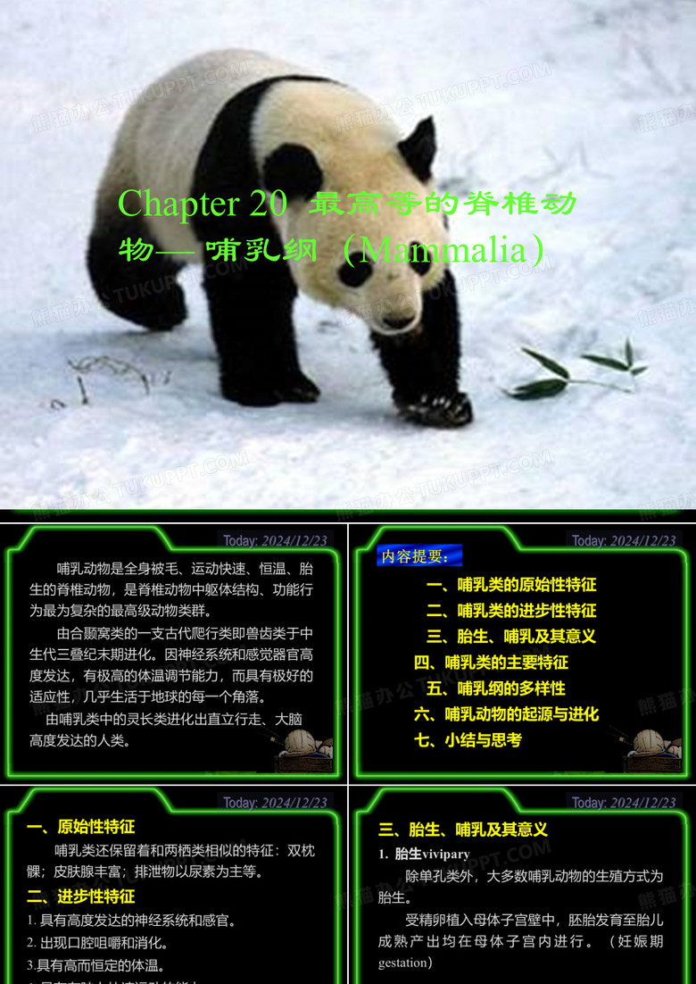 哺乳类