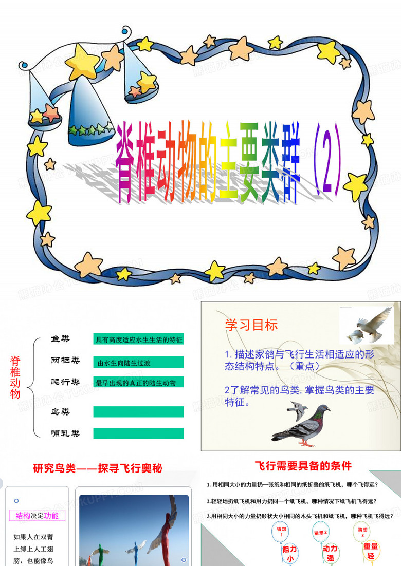 脊椎动物的主要类群 (鸟类、哺乳类)