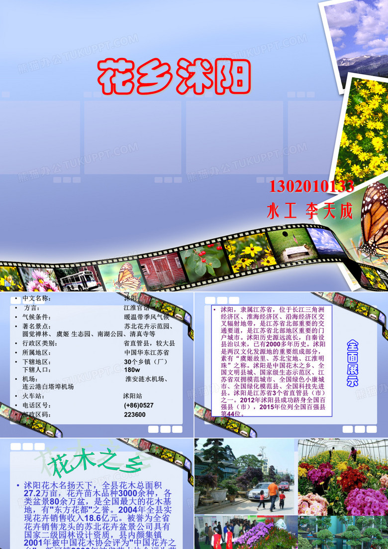 花乡沭阳