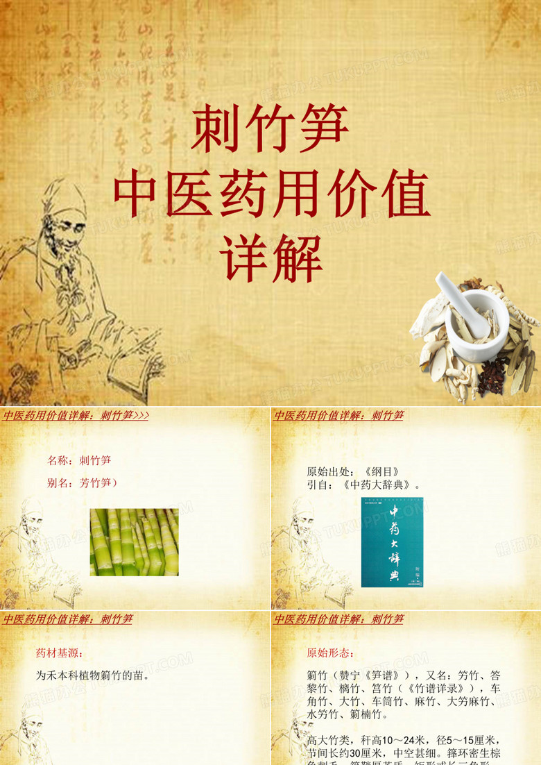 中药学_刺竹笋_药材详解课件模板