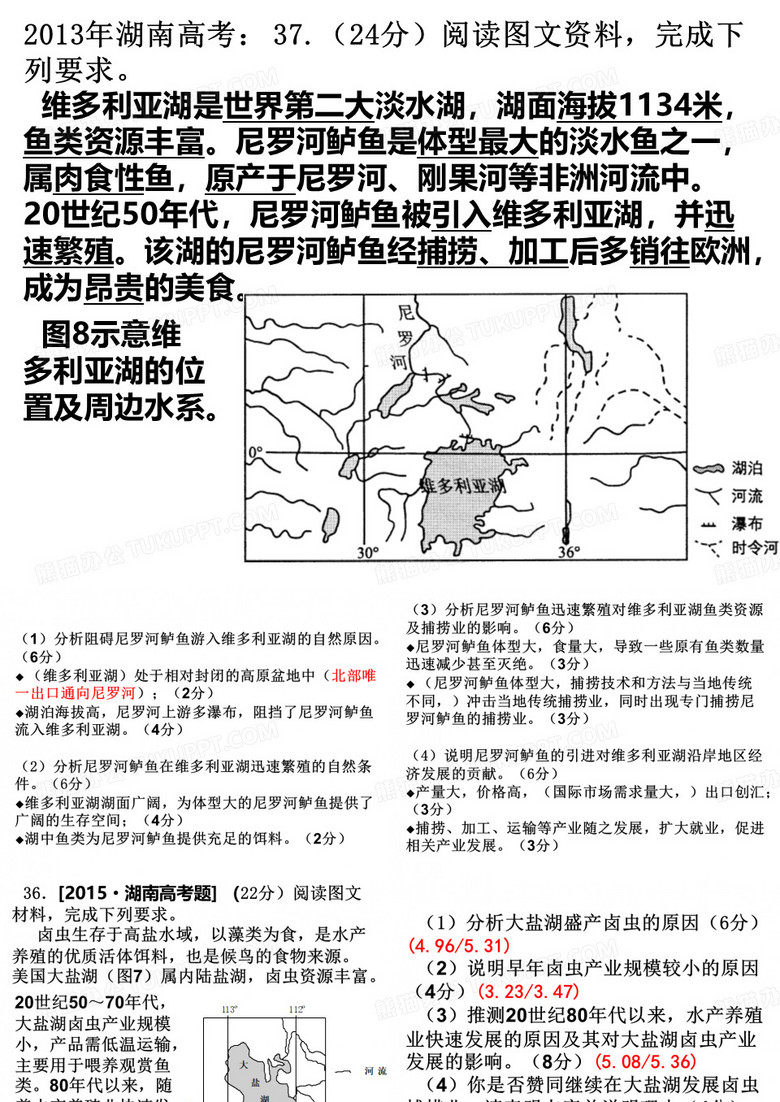 尼罗河鲈鱼