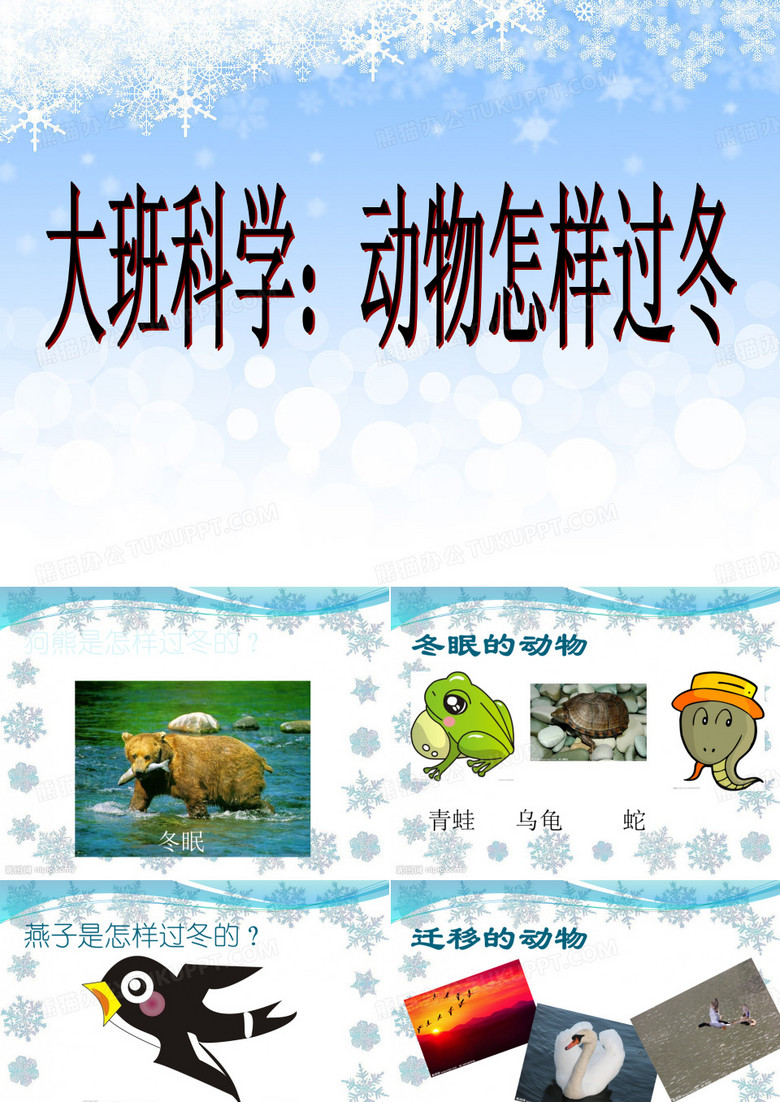 大班科学数学动物怎样过冬