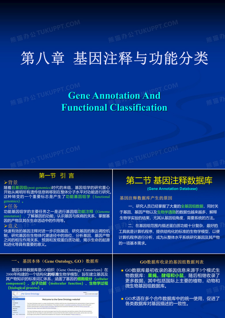 基因功能分析