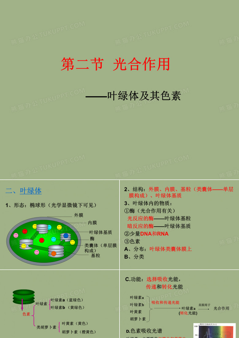 叶绿体及其色素..