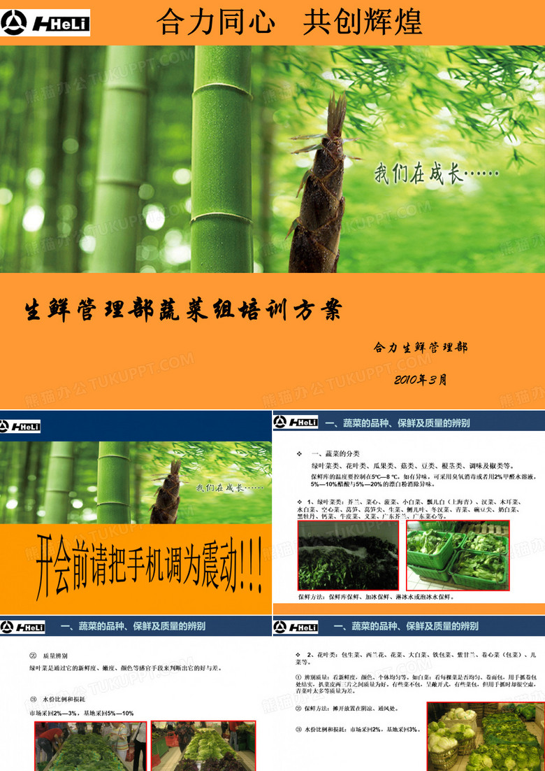 合力蔬菜培训