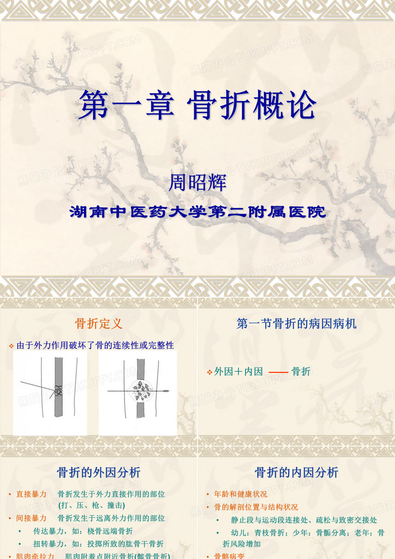 骨折概论
