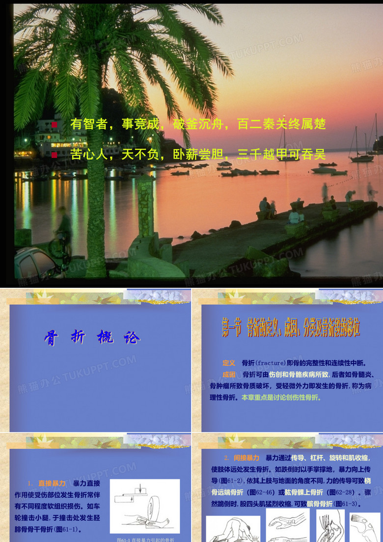 骨折概论