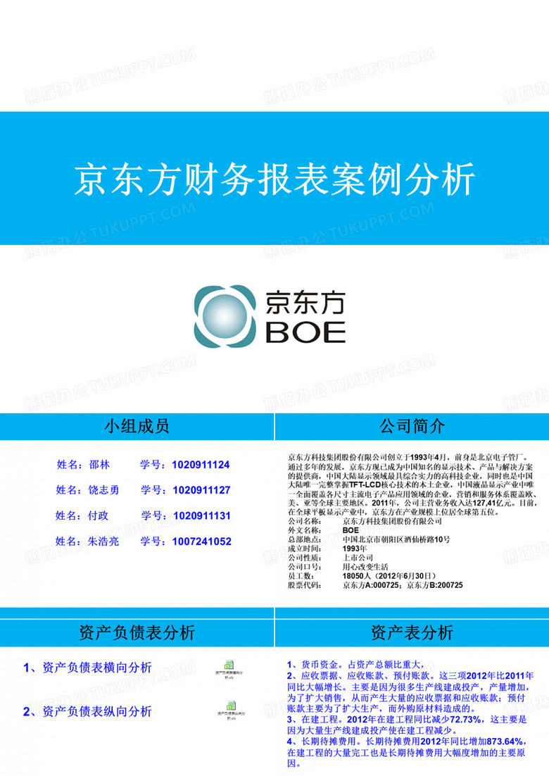 京東方財(cái)務(wù)報(bào)表分析