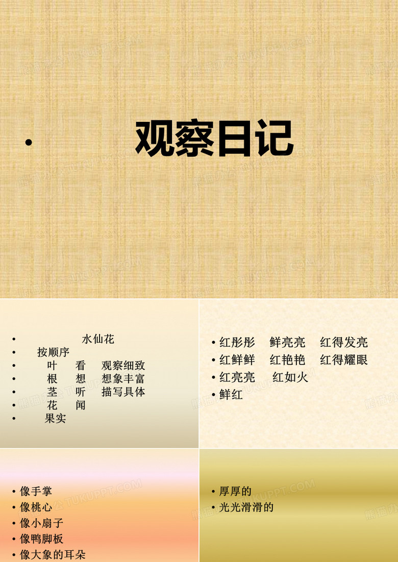 《学写观察日记》