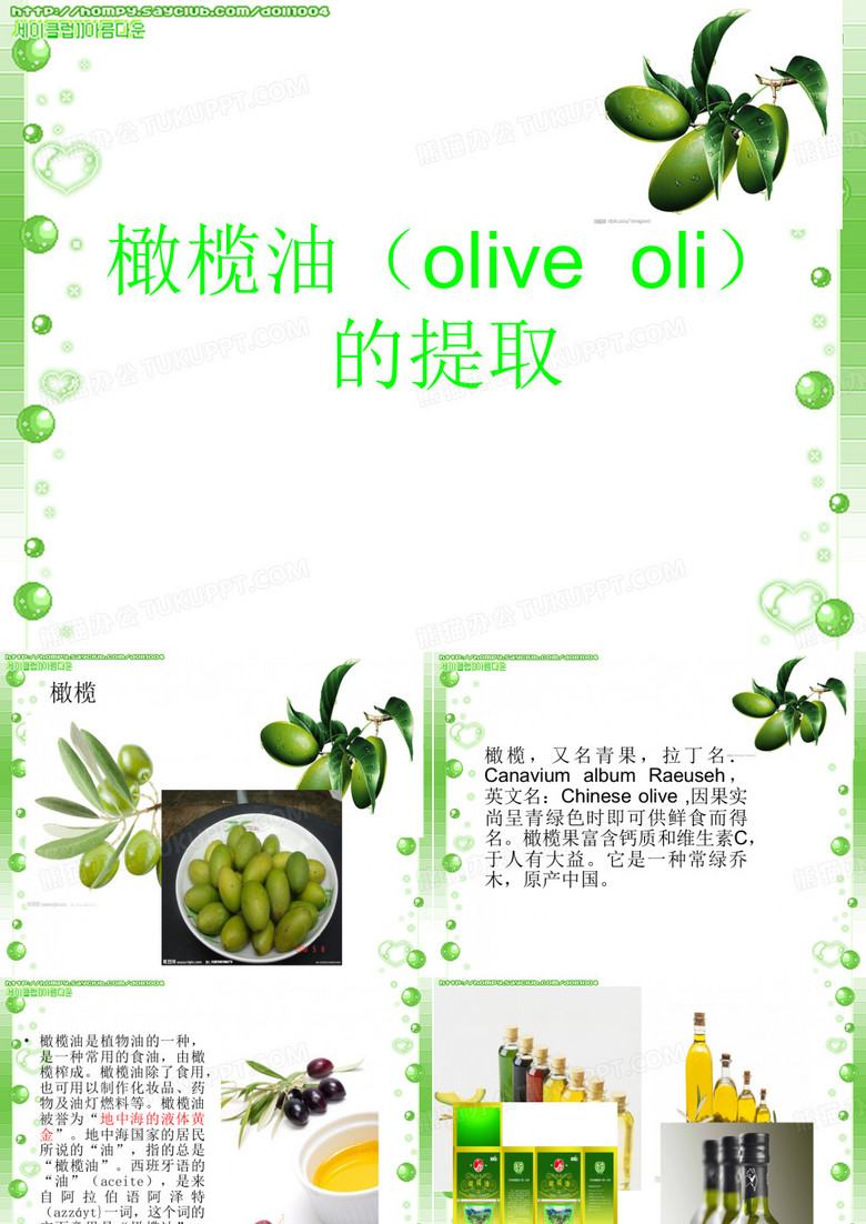 橄榄油的提取