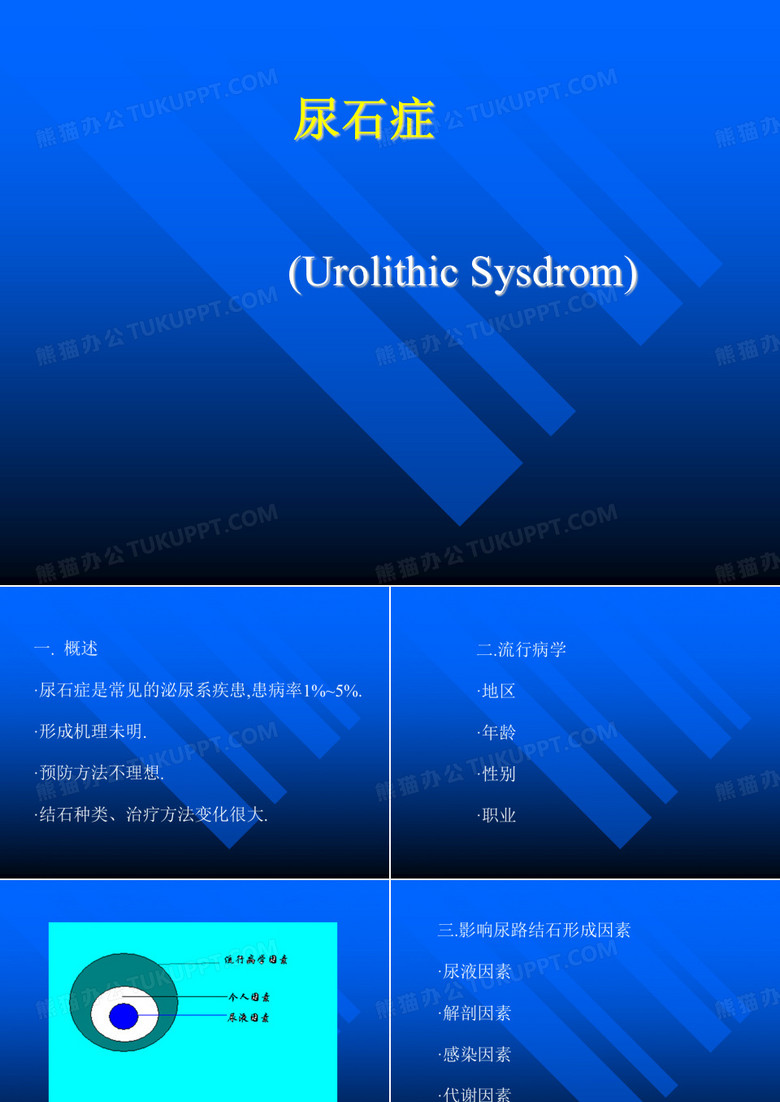 尿石症PPT