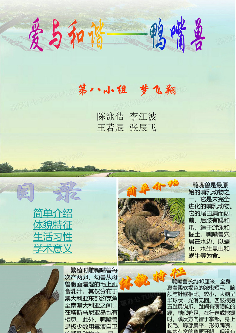 鸭嘴兽
