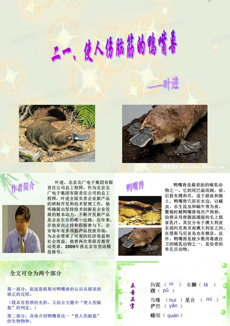 鸭嘴兽
