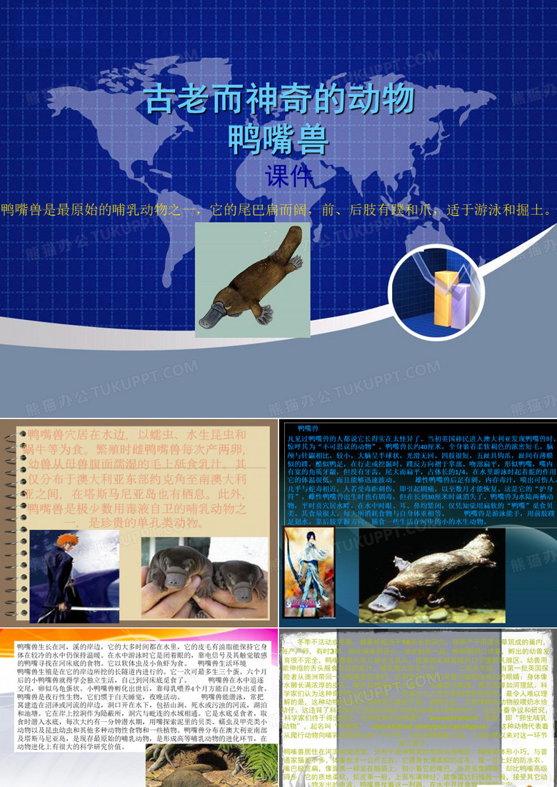 古老而神奇的动物鸭嘴兽