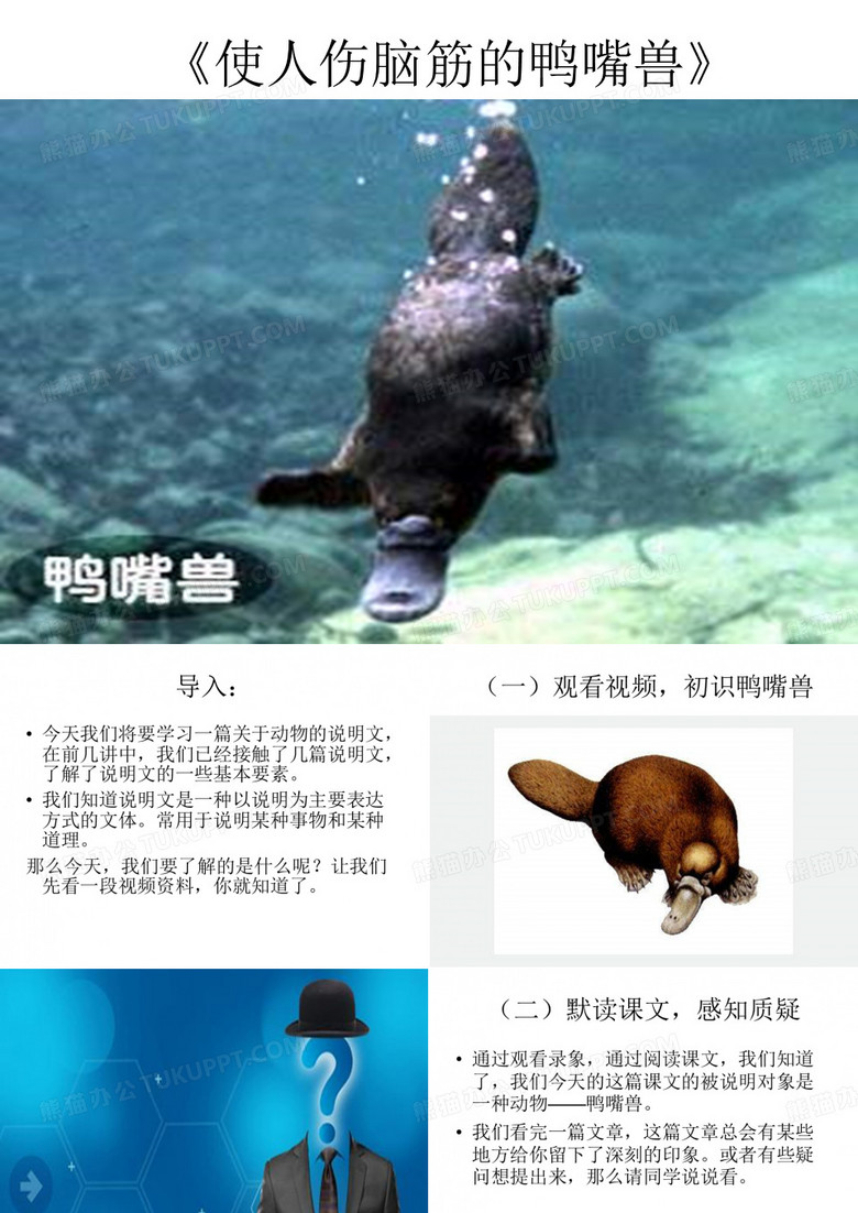 八年级语文使人伤脑筋的鸭嘴兽