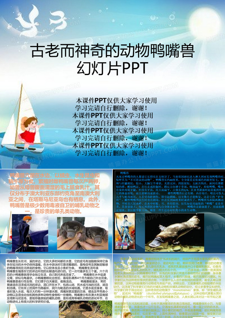 古老而神奇的动物鸭嘴兽幻灯片PPT