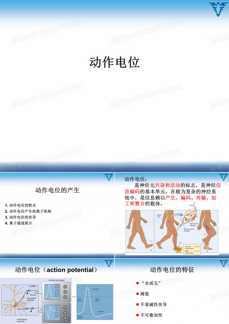 动作电位(讲解)