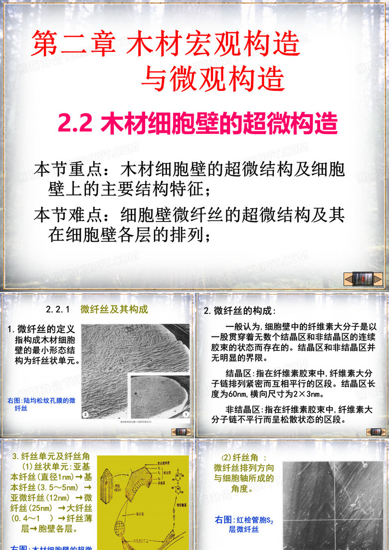 细胞壁