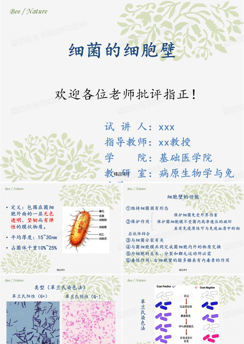 细菌细胞壁