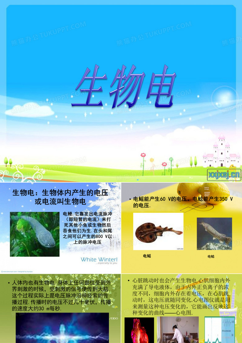 生物电