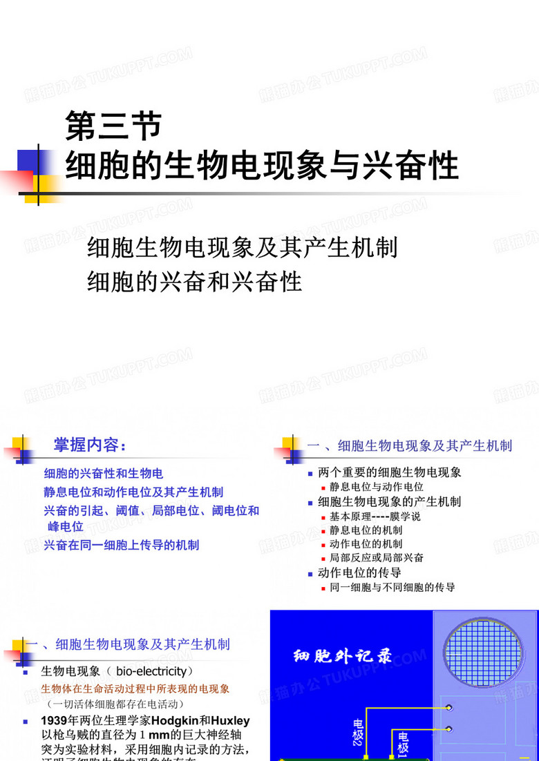 细胞生物电