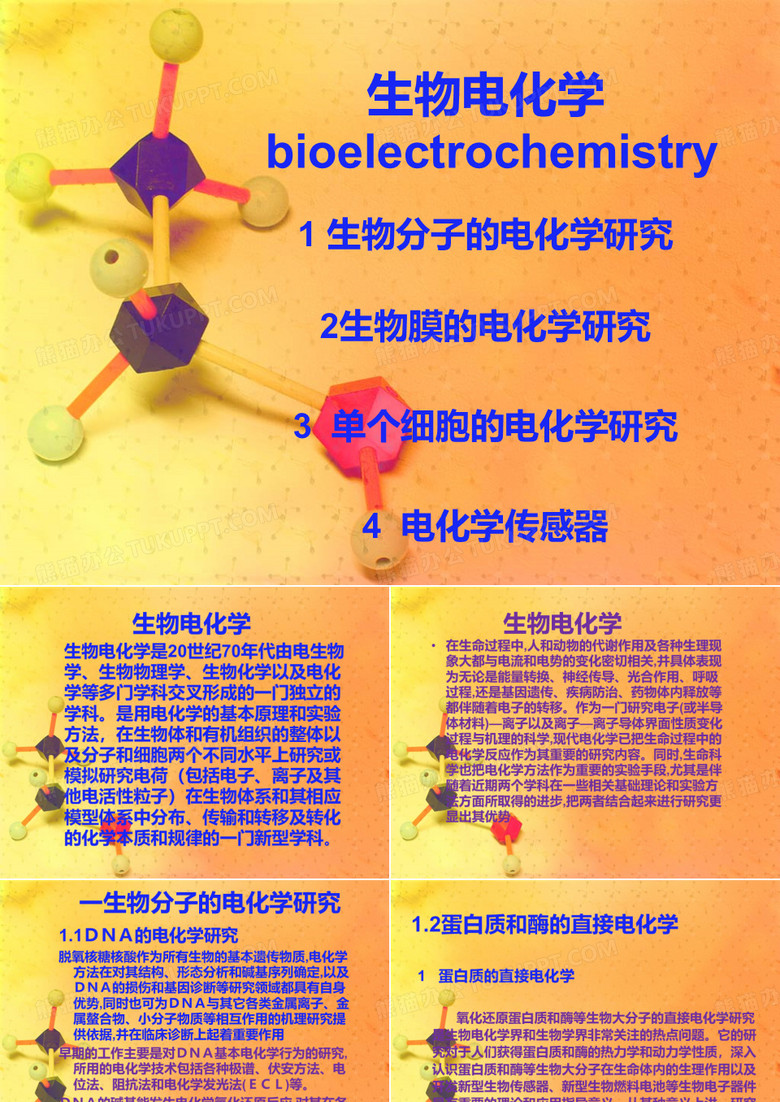 生物电化学 ppt