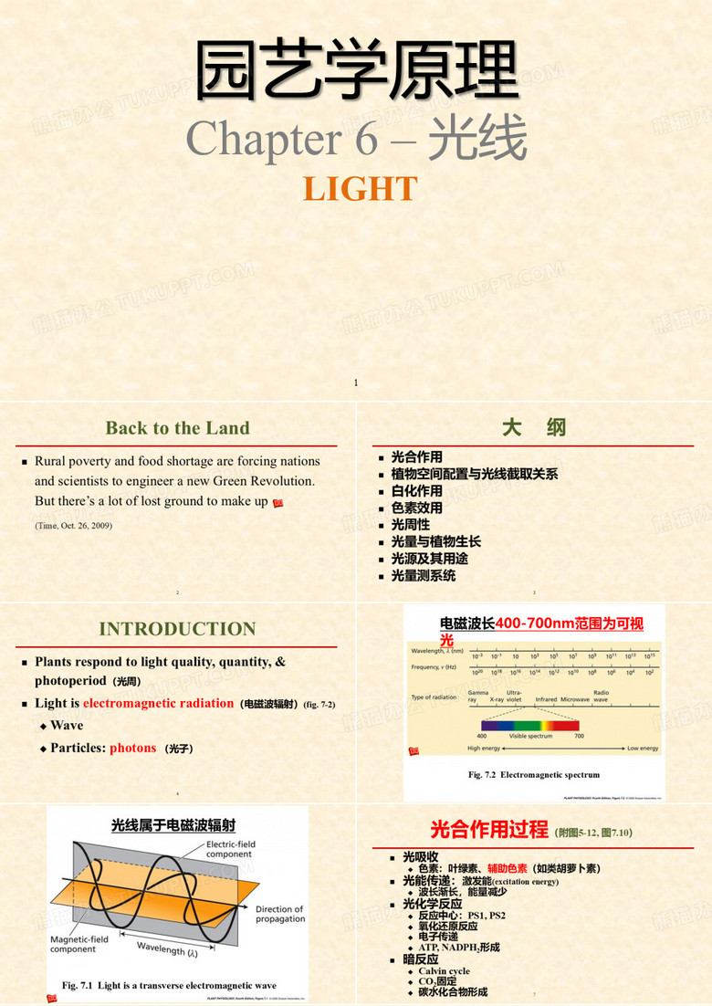 园艺学原理  光线的利用
